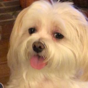 Meet your Posher, Jan